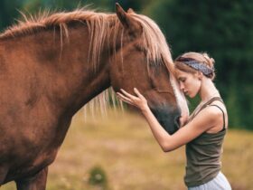 Pet therapy cavalli a quali persone è consigliata