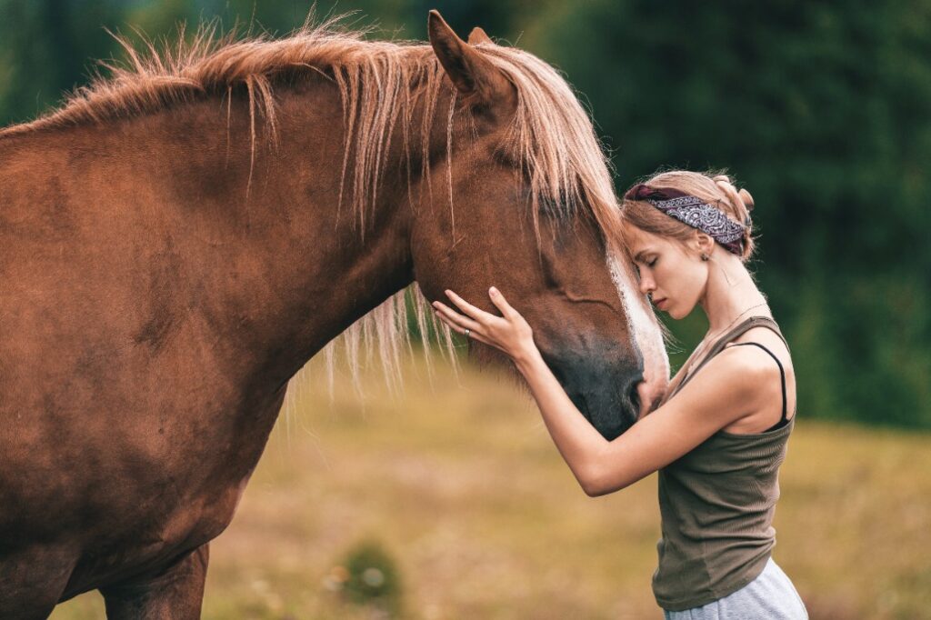 Pet therapy cavalli a quali persone è consigliata