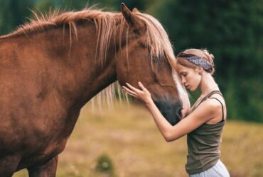 Pet therapy cavalli a quali persone è consigliata