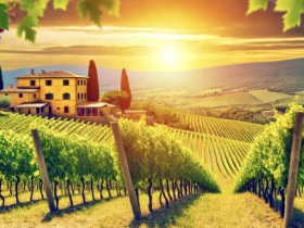 Il Fascino del Territorio Toscano nella Produzione Vinicola